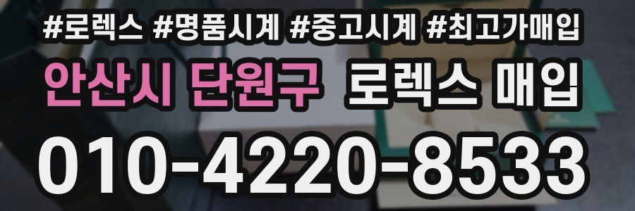 안산시 단원구 로렉스 매입