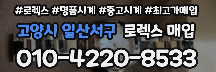 고양시 일산서구 로렉스 매입