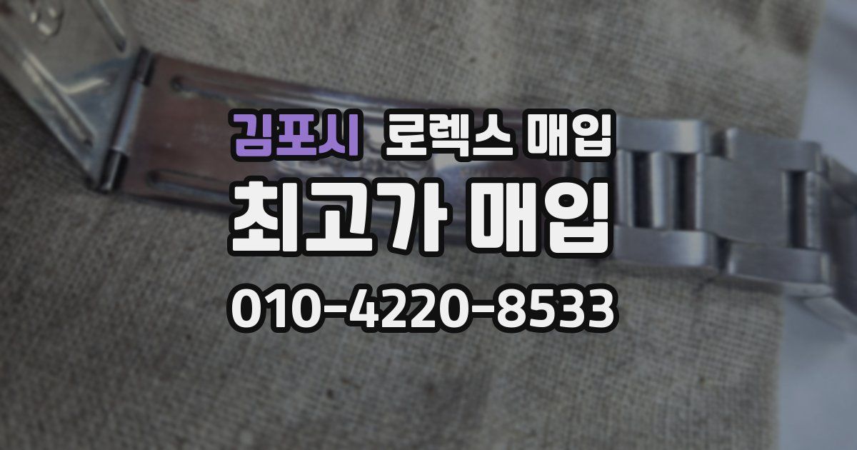 김포시 로렉스 매입
