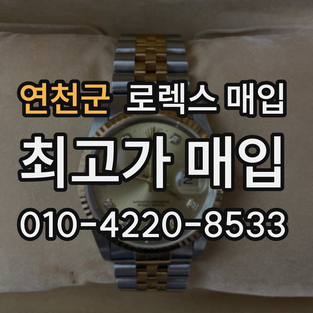 연천군 로렉스 매입 레퍼런스 번호로 정확히 조회하는 방법