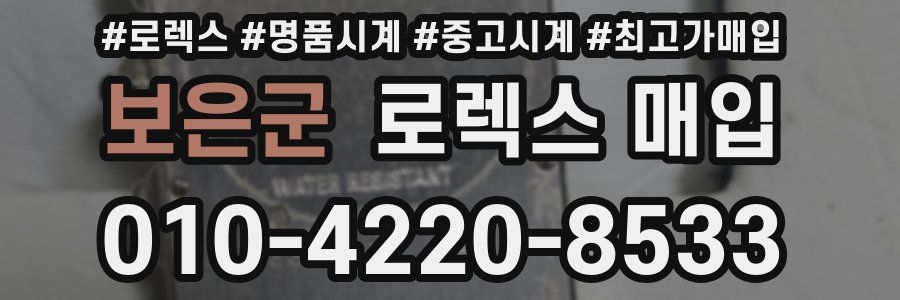 보은군 로렉스 매입