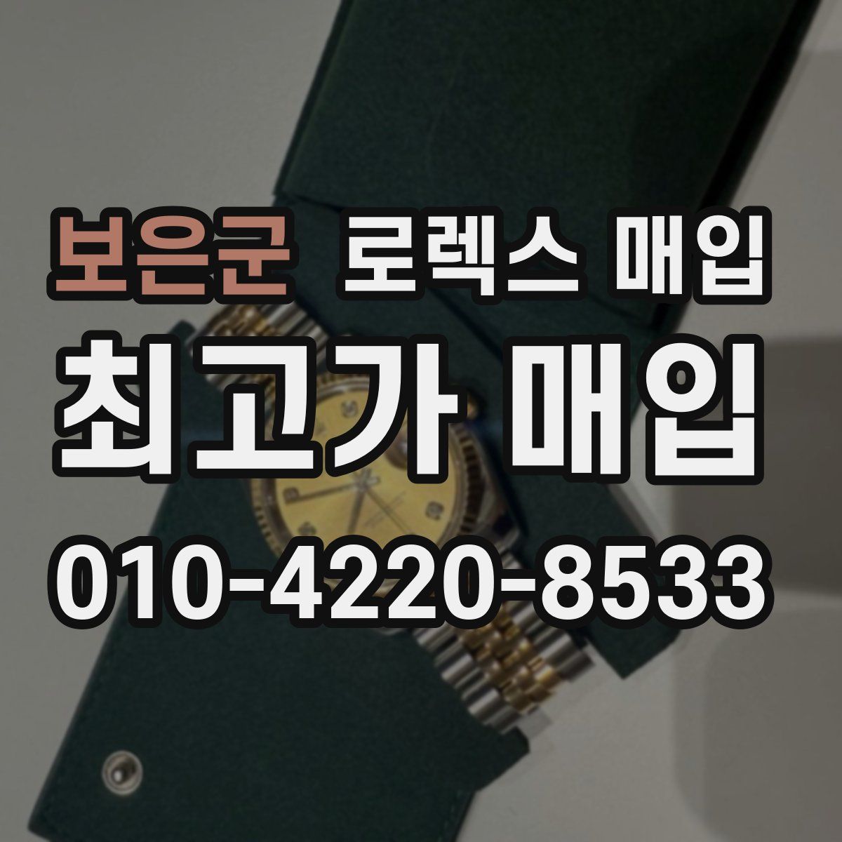 보은군 로렉스 매입