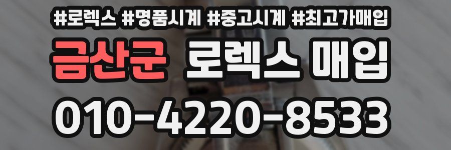 금산군 로렉스 매입