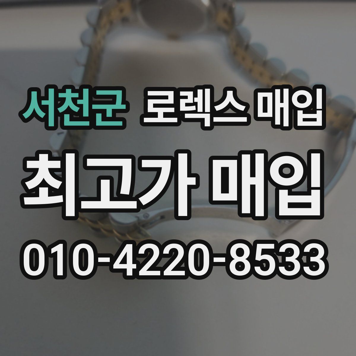 서천군 로렉스 매입