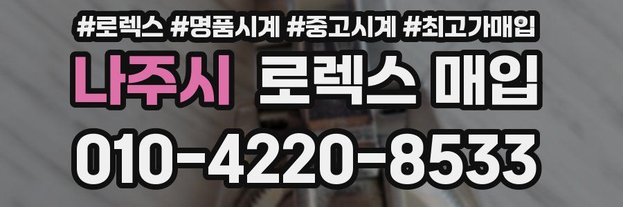 나주시 로렉스 매입