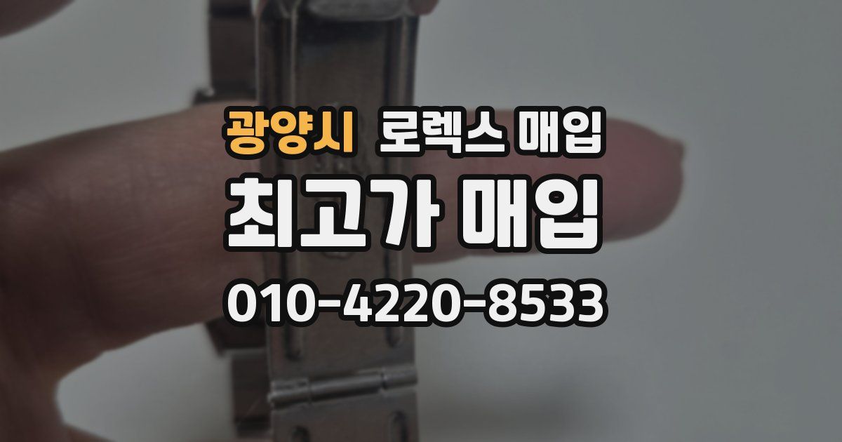 광양시 로렉스 매입