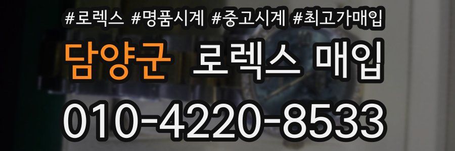 담양군 로렉스 매입