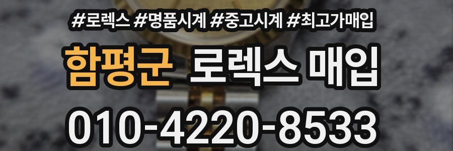 함평군 로렉스 매입
