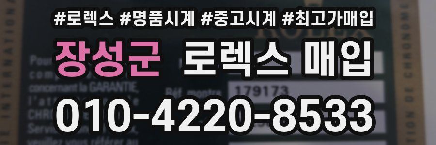 장성군 로렉스 매입