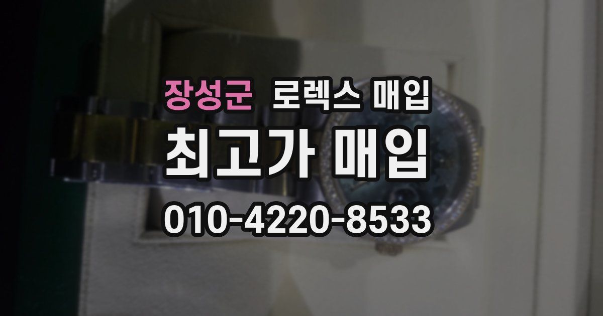 장성군 로렉스 매입