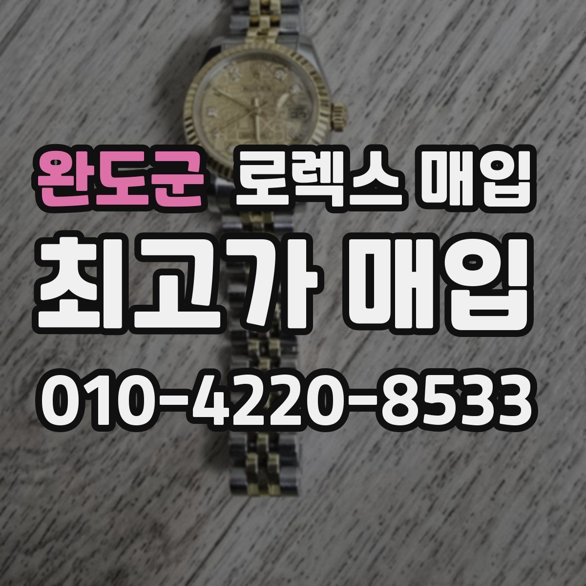 완도군 로렉스 매입 오이스터 스트랩 시세 포인트