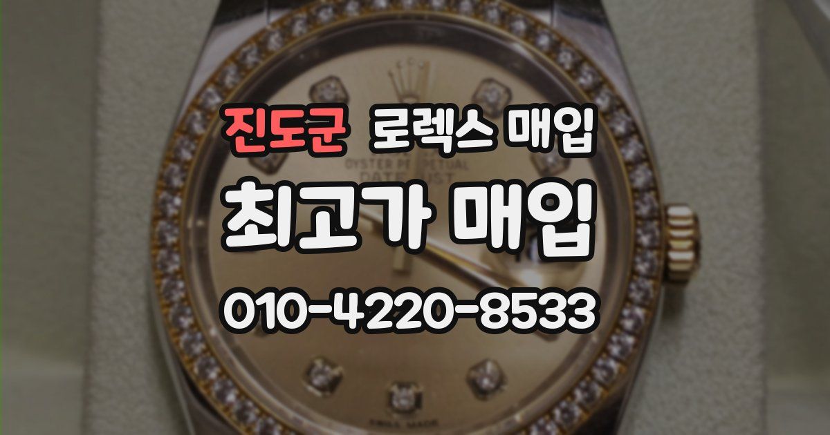 진도군 로렉스 매입