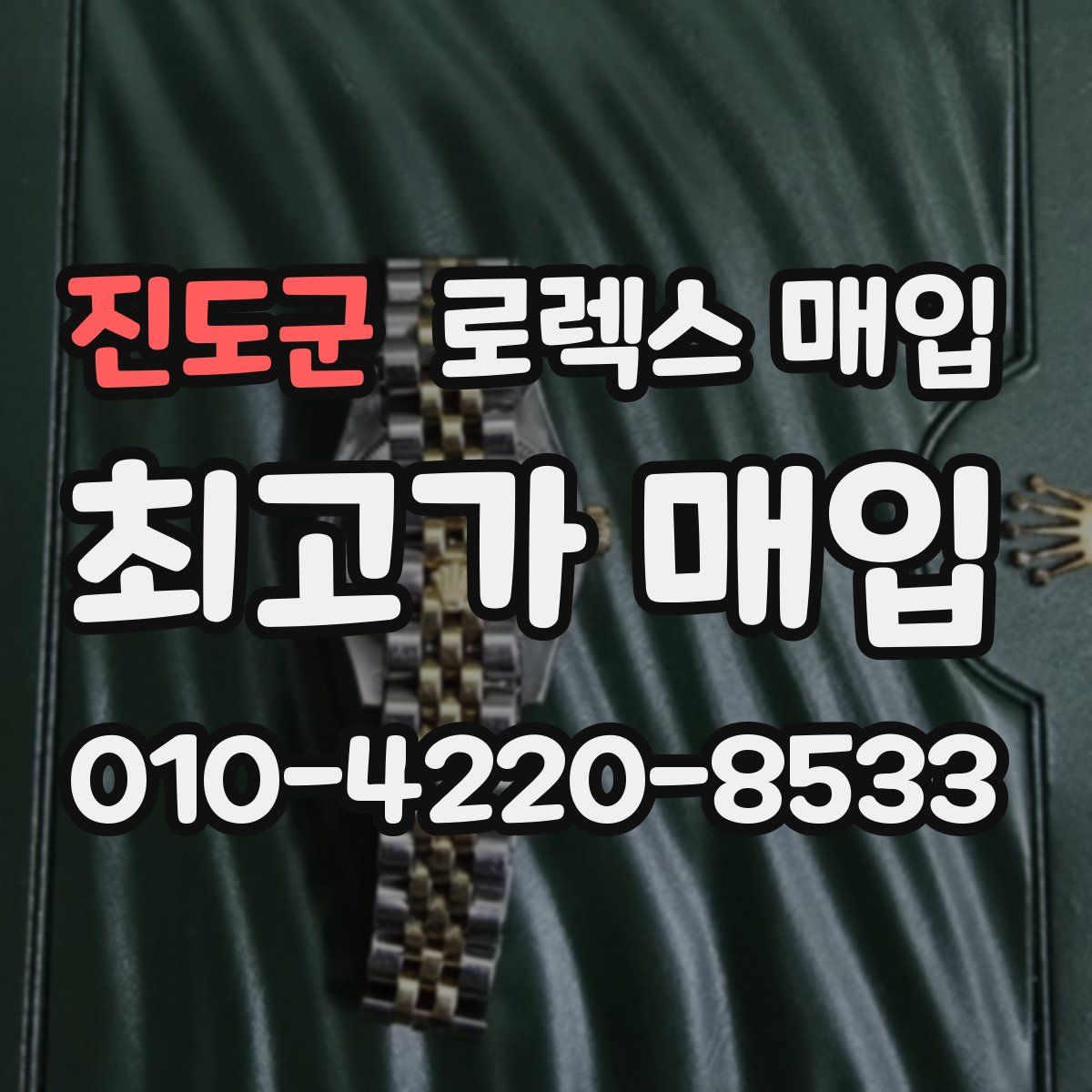 진도군 로렉스 매입