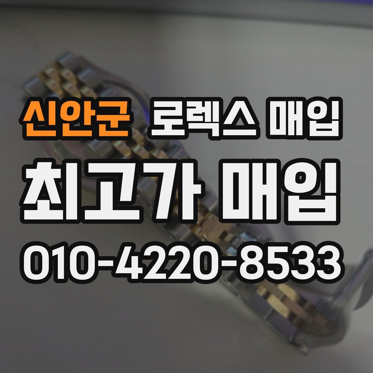 신안군 로렉스 매입 오피셜 퍼페츄얼 시세 흐름 요약