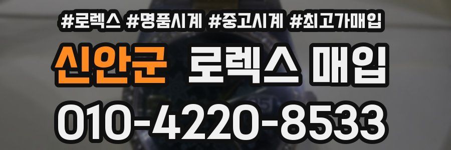 신안군 로렉스 매입