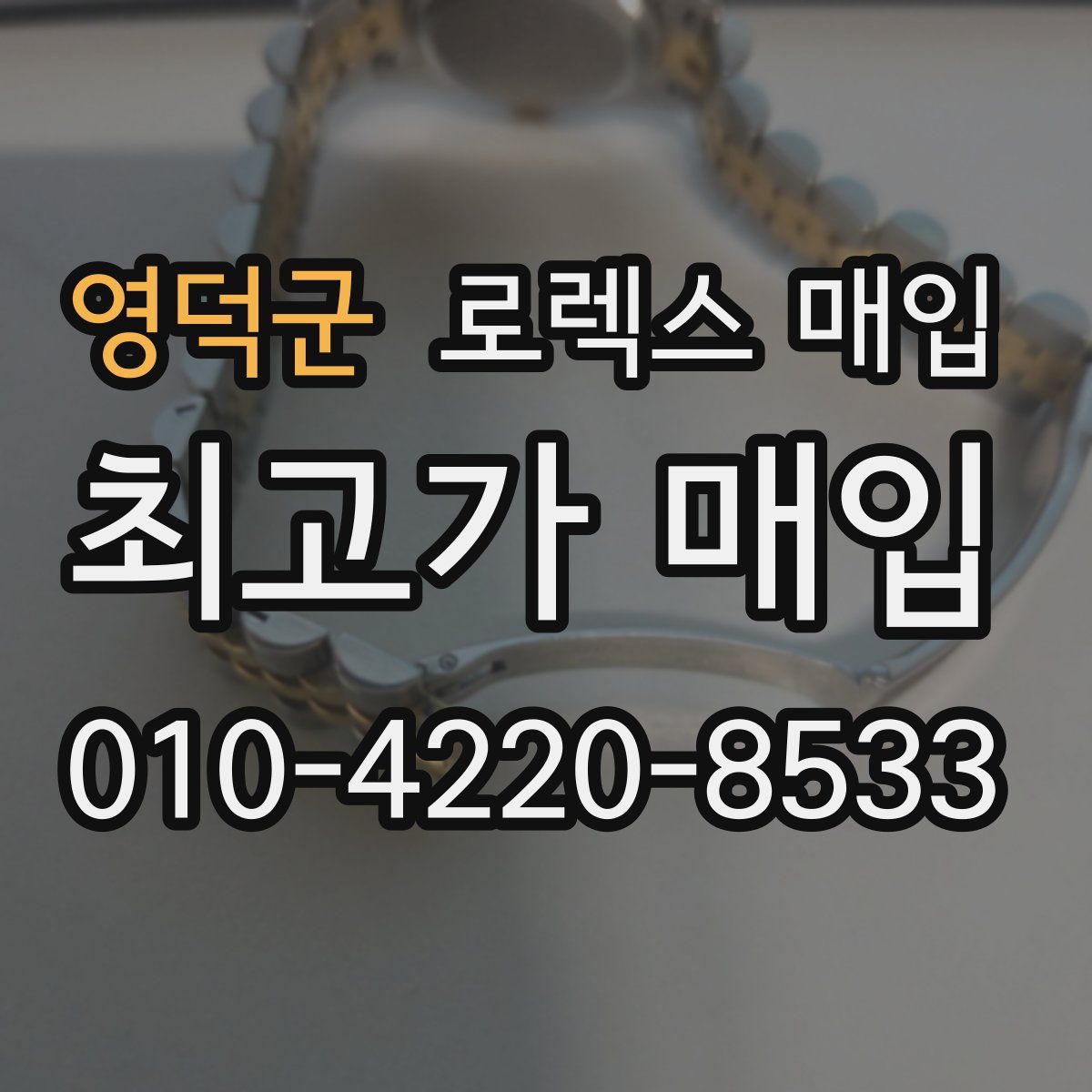 영덕군 로렉스 매입