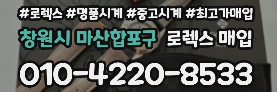 창원시 마산합포구 로렉스 매입