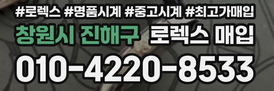 창원시 진해구 로렉스 매입