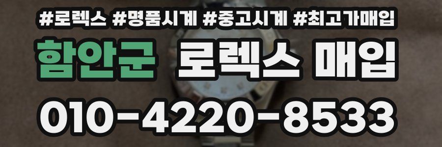 함안군 로렉스 매입