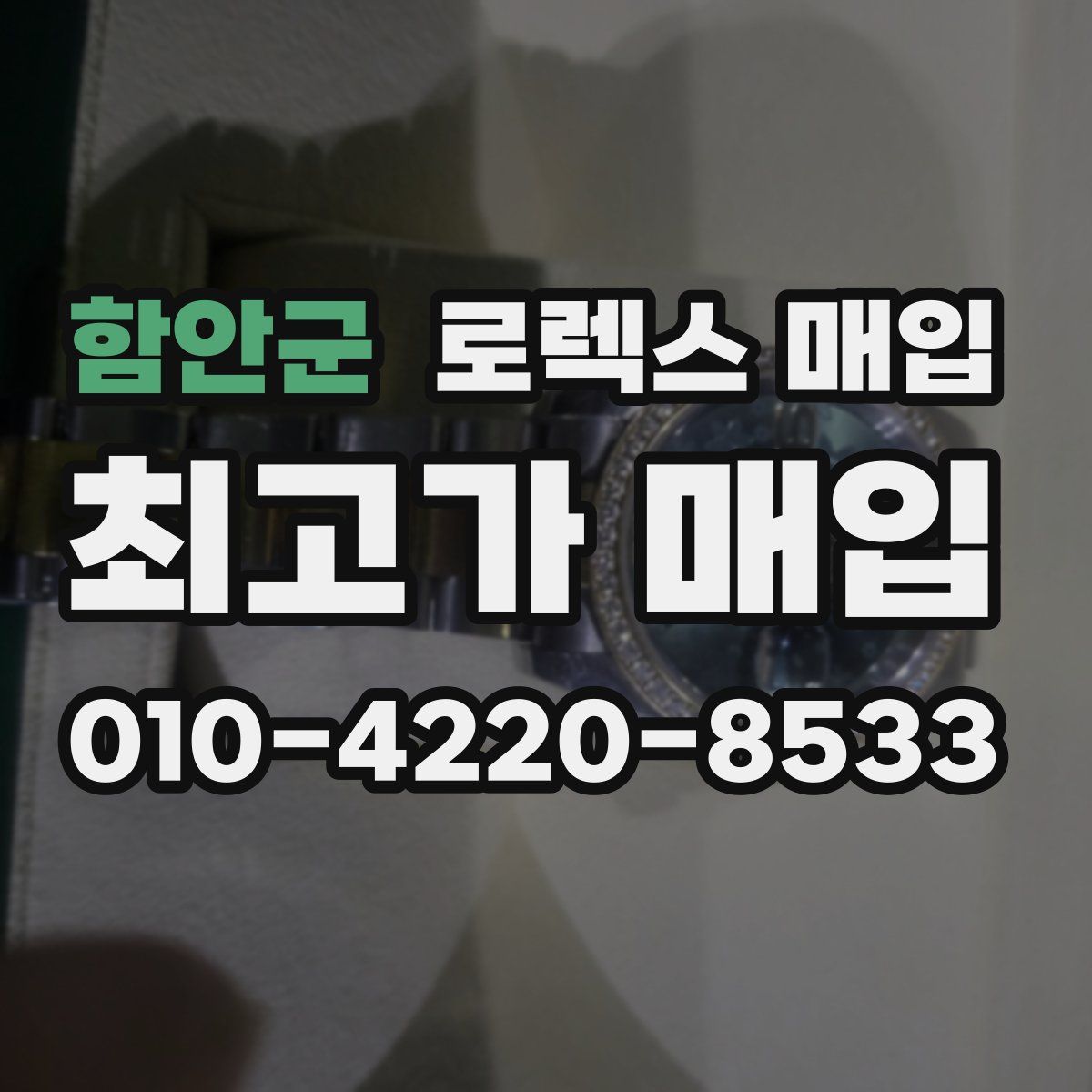 함안군 로렉스 매입