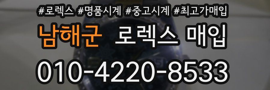 남해군 로렉스 매입