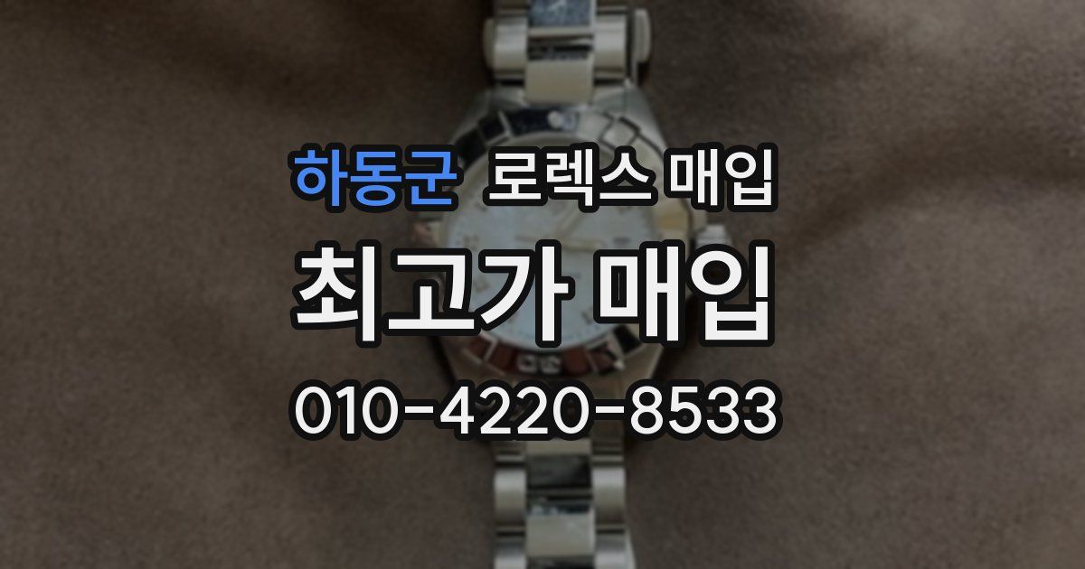 하동군 로렉스 매입