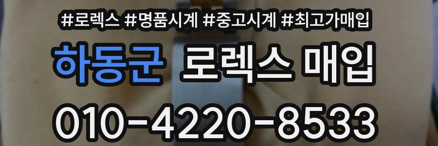 하동군 로렉스 매입