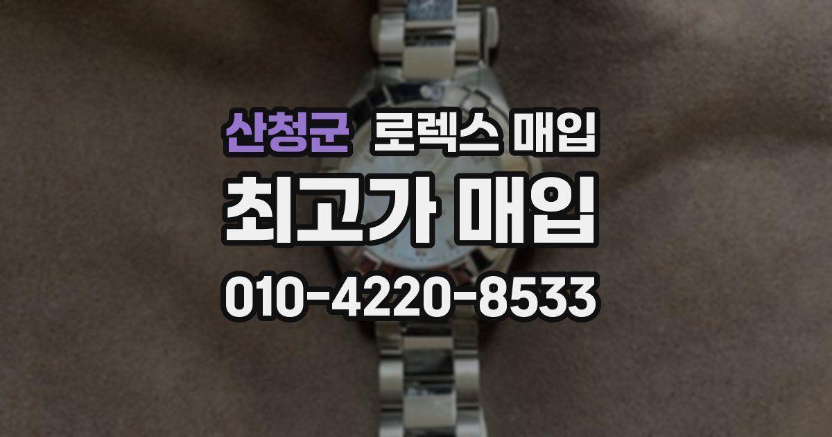 산청군 로렉스 매입