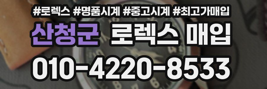 산청군 로렉스 매입