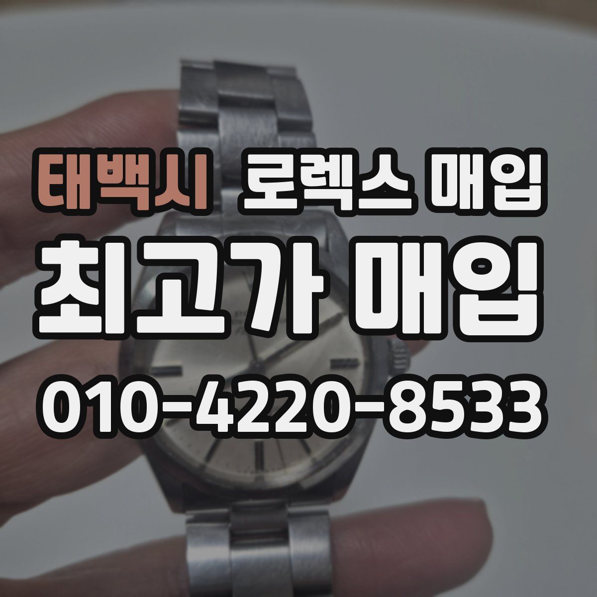 태백시 로렉스 매입