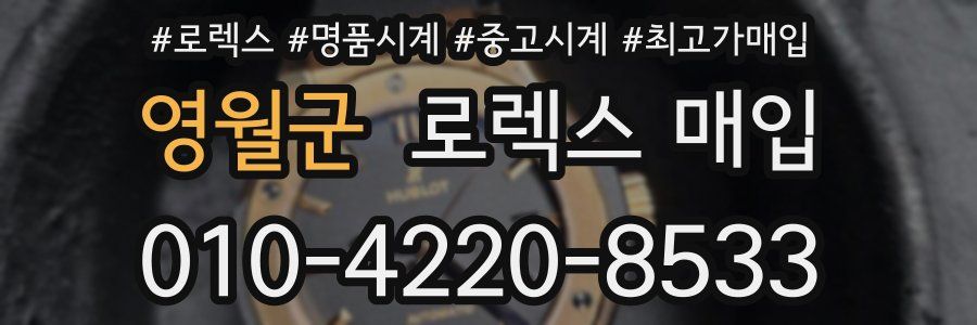 영월군 로렉스 매입