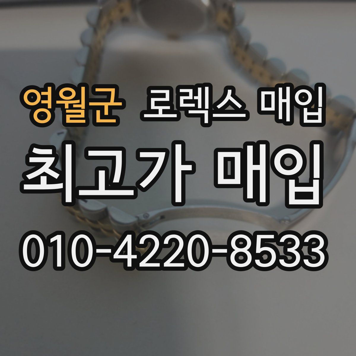 영월군 로렉스 매입