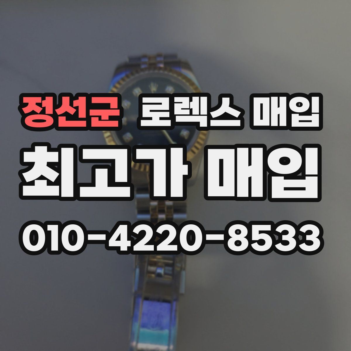 정선군 로렉스 매입
