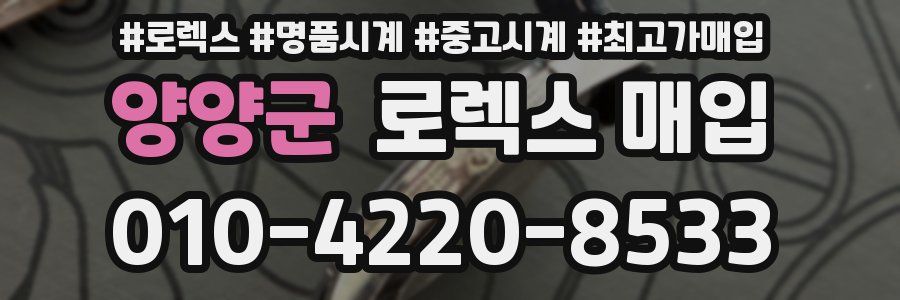 양양군 로렉스 매입