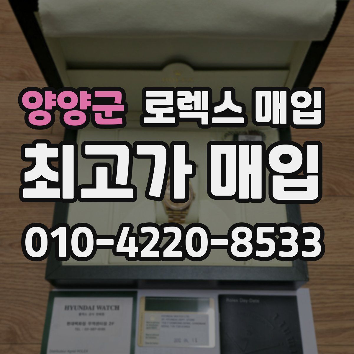 양양군 로렉스 매입