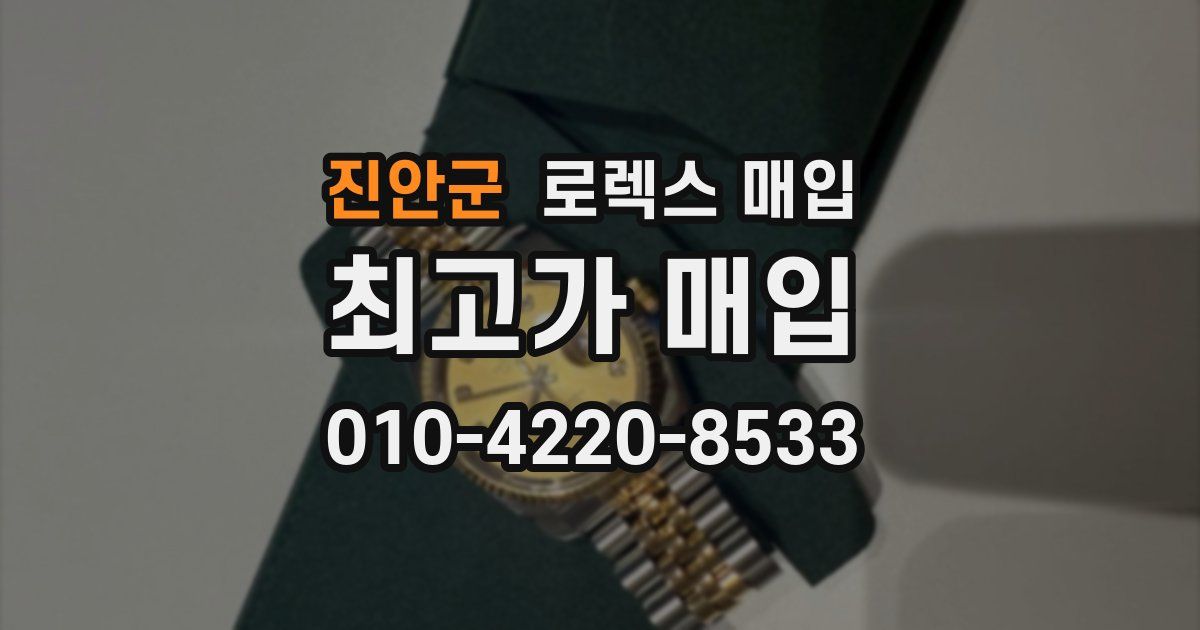 진안군 로렉스 매입