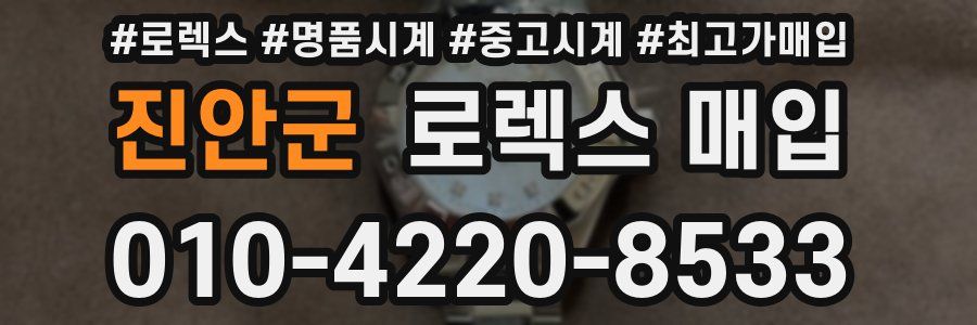 진안군 로렉스 매입