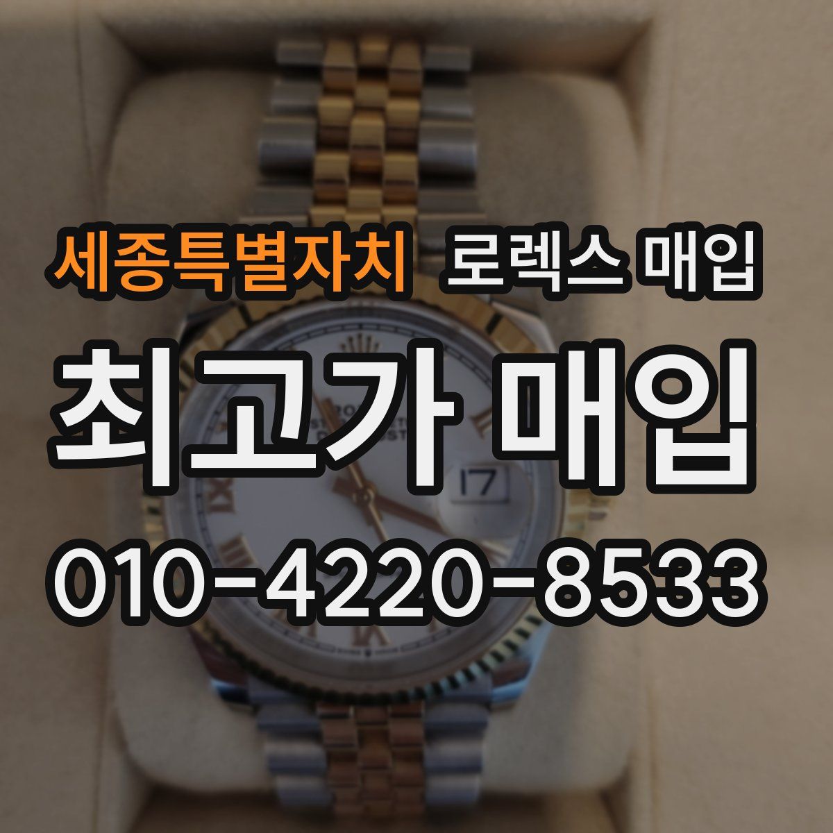 세종특별자치 로렉스 매입