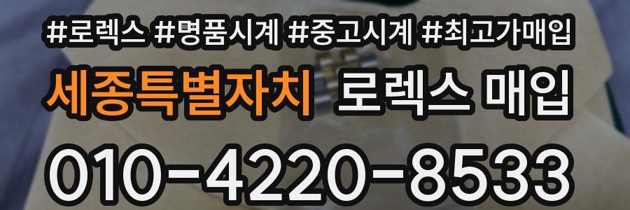 세종특별자치 로렉스 매입