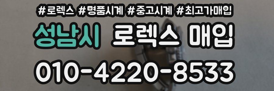 성남시 로렉스 매입