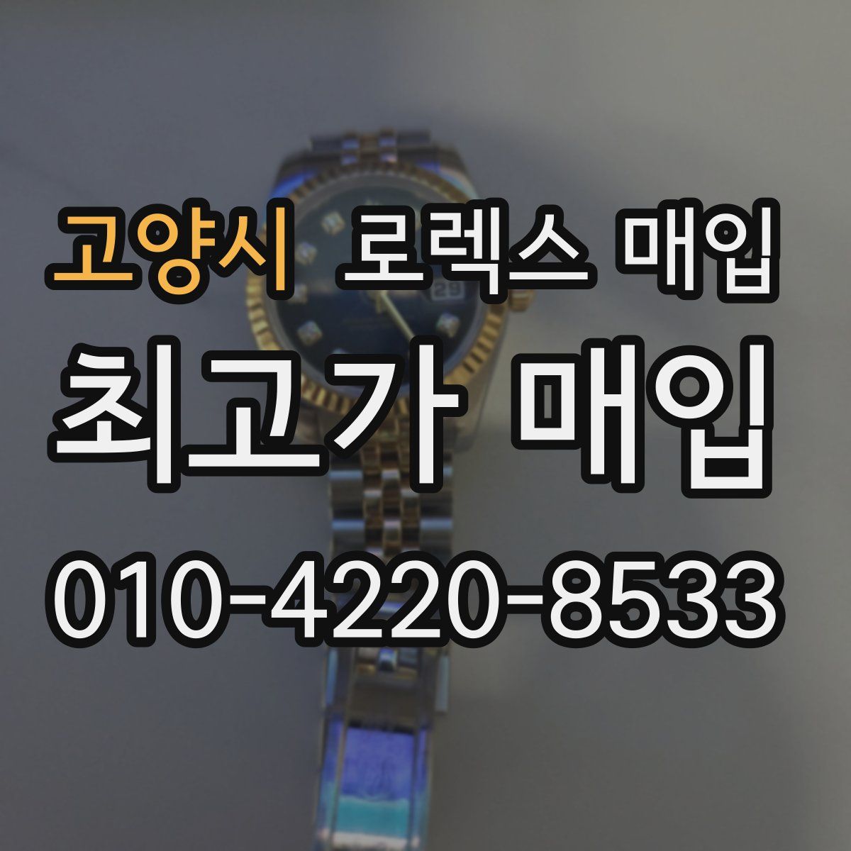 고양시 로렉스 매입