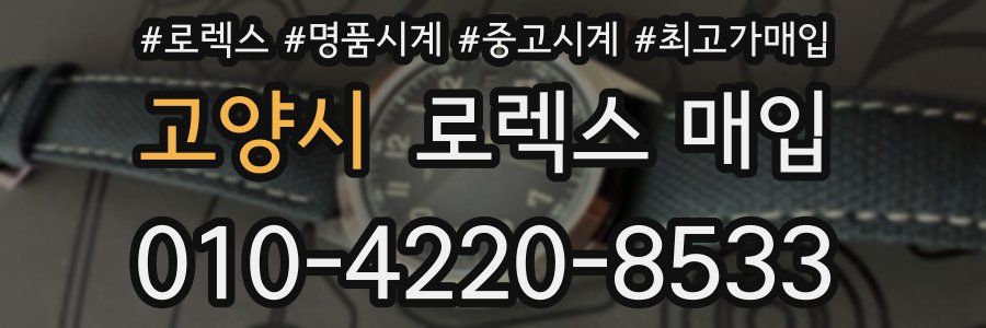 고양시 로렉스 매입