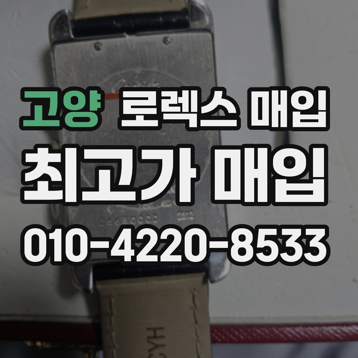 고양 로렉스 매입