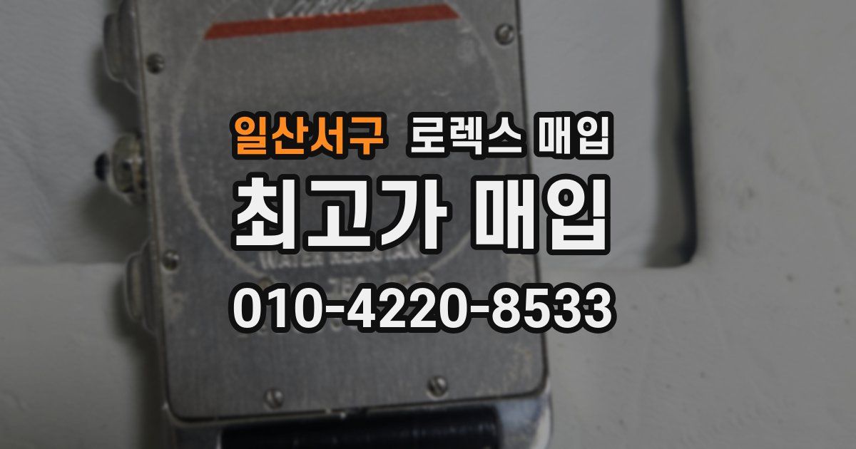 일산서구 로렉스 매입
