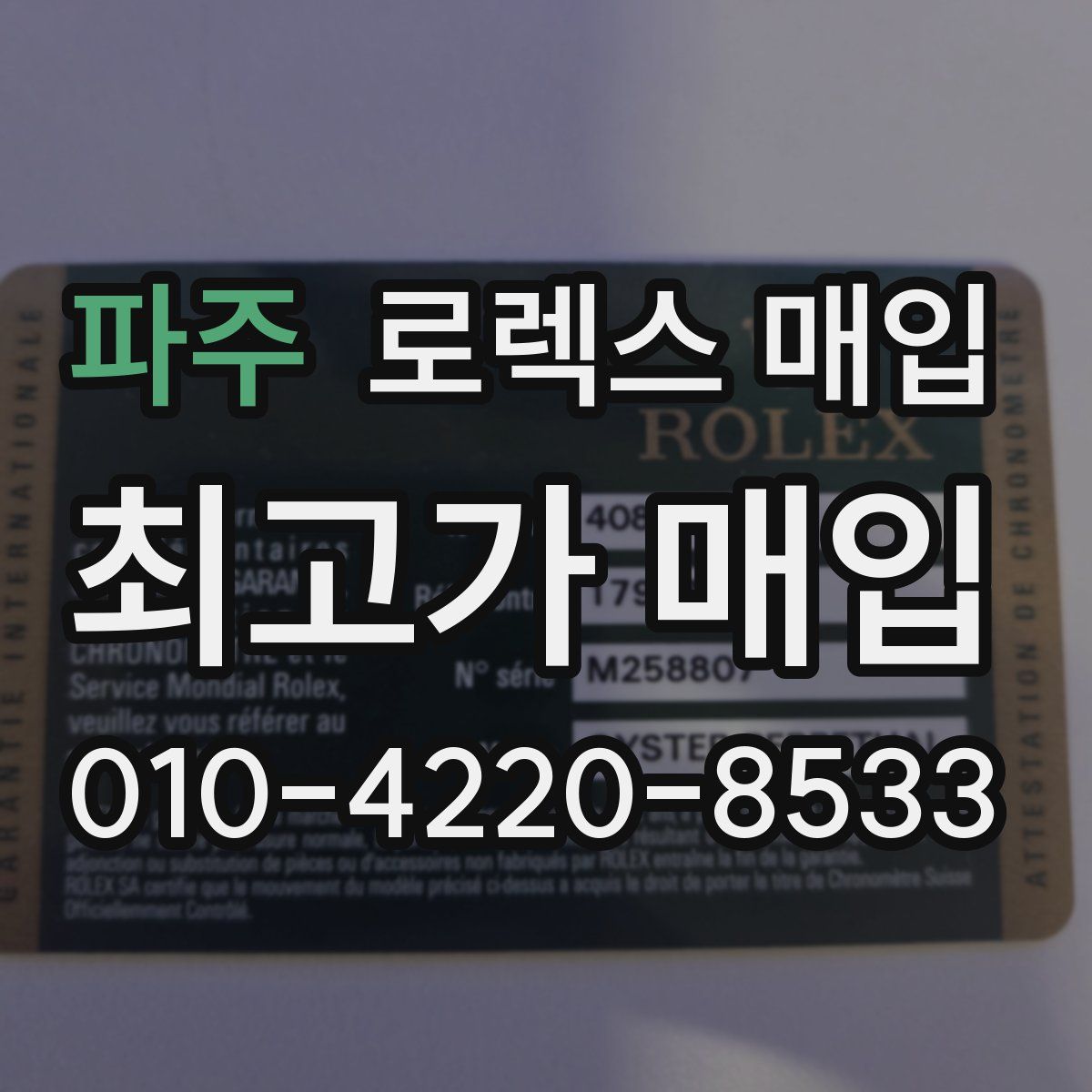 파주 로렉스 매입