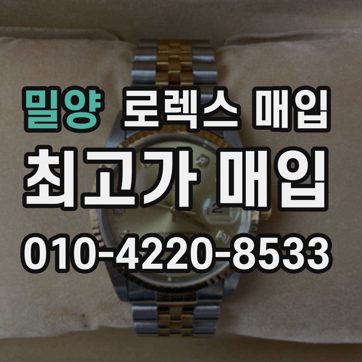 밀양 로렉스 매입