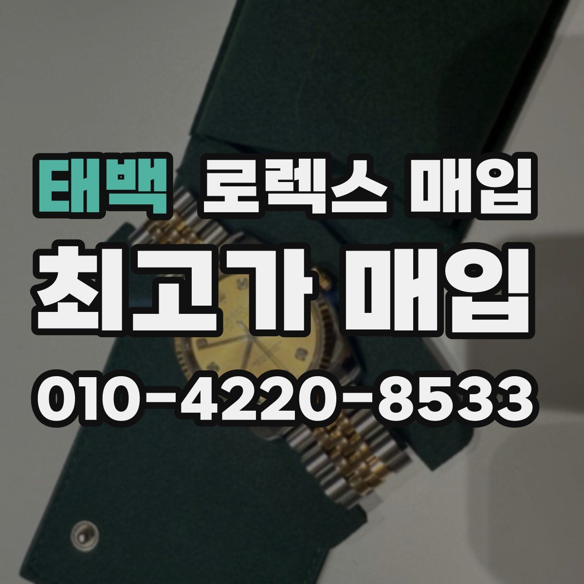 태백 로렉스 매입