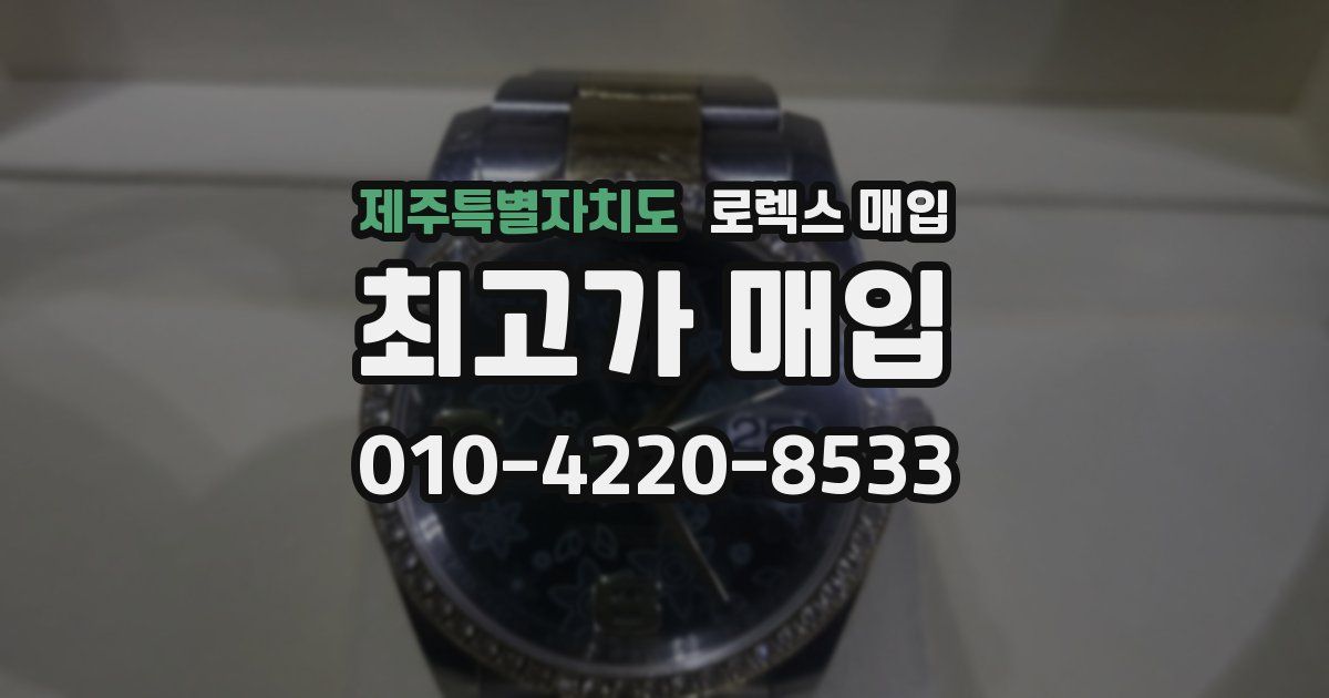 제주특별자치도 로렉스 매입