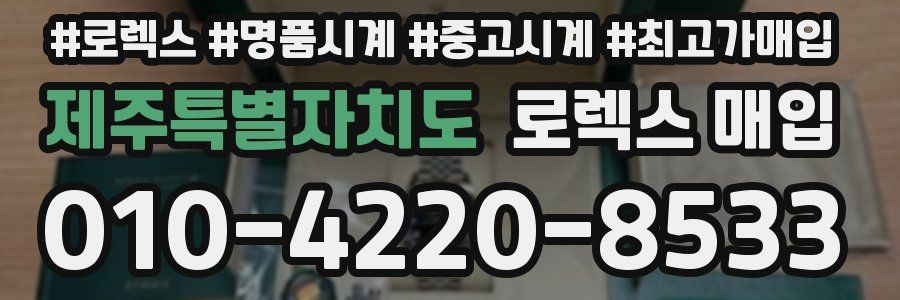 제주특별자치도 로렉스 매입