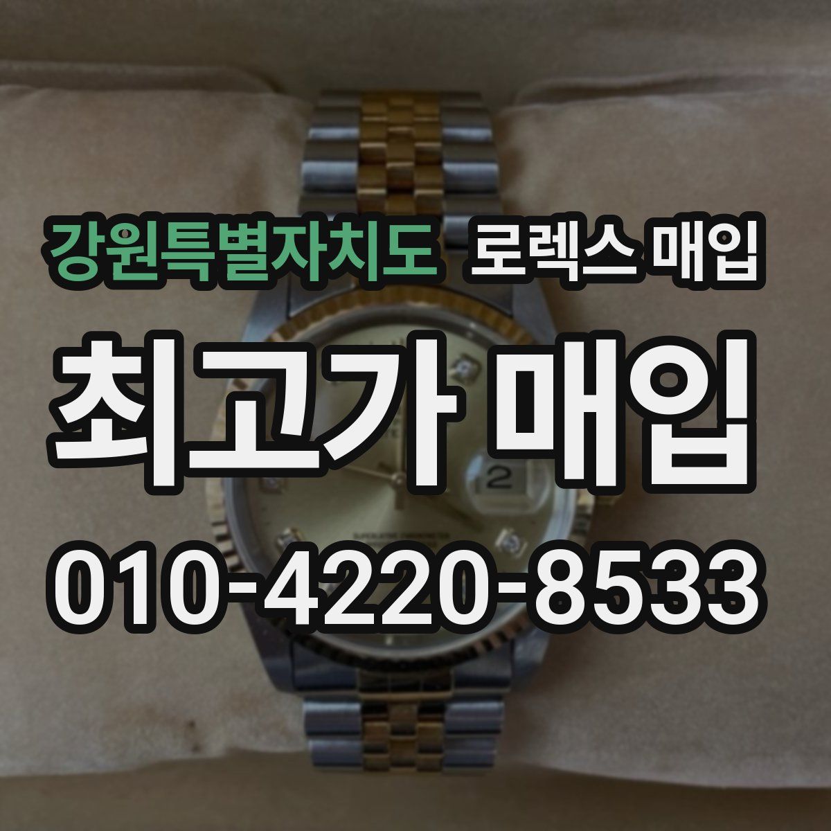 강원특별자치도 로렉스 매입